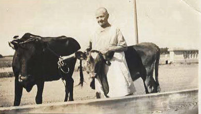 Gertrude Rueter Jaeschke